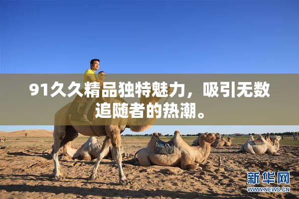 91久久精品独特魅力，吸引无数追随者的热潮。