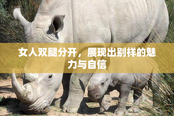 女人双腿分开，展现出别样的魅力与自信