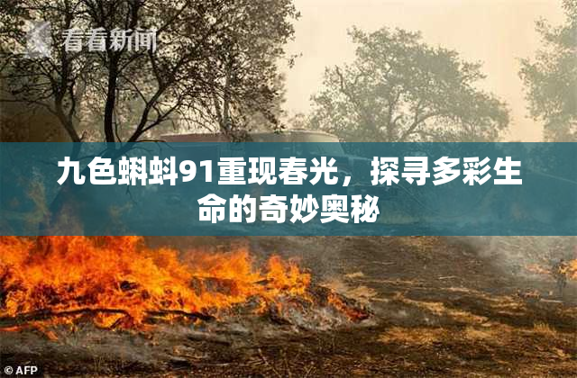 九色蝌蚪91重现春光，探寻多彩生命的奇妙奥秘