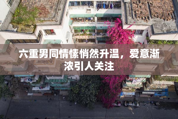 六重男同情愫悄然升温，爱意渐浓引人关注