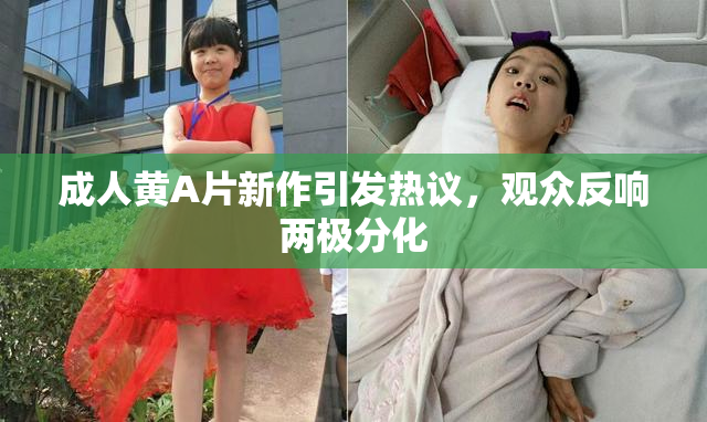 成人黄A片新作引发热议，观众反响两极分化
