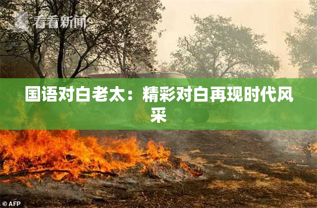 国语对白老太：精彩对白再现时代风采