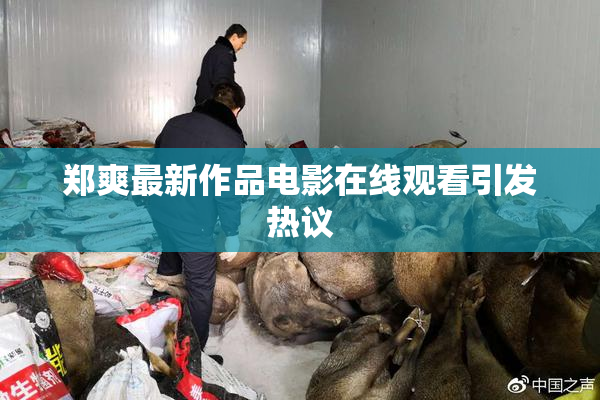 郑爽最新作品电影在线观看引发热议