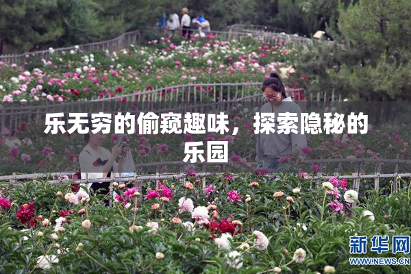 乐无穷的偷窥趣味，探索隐秘的乐园
