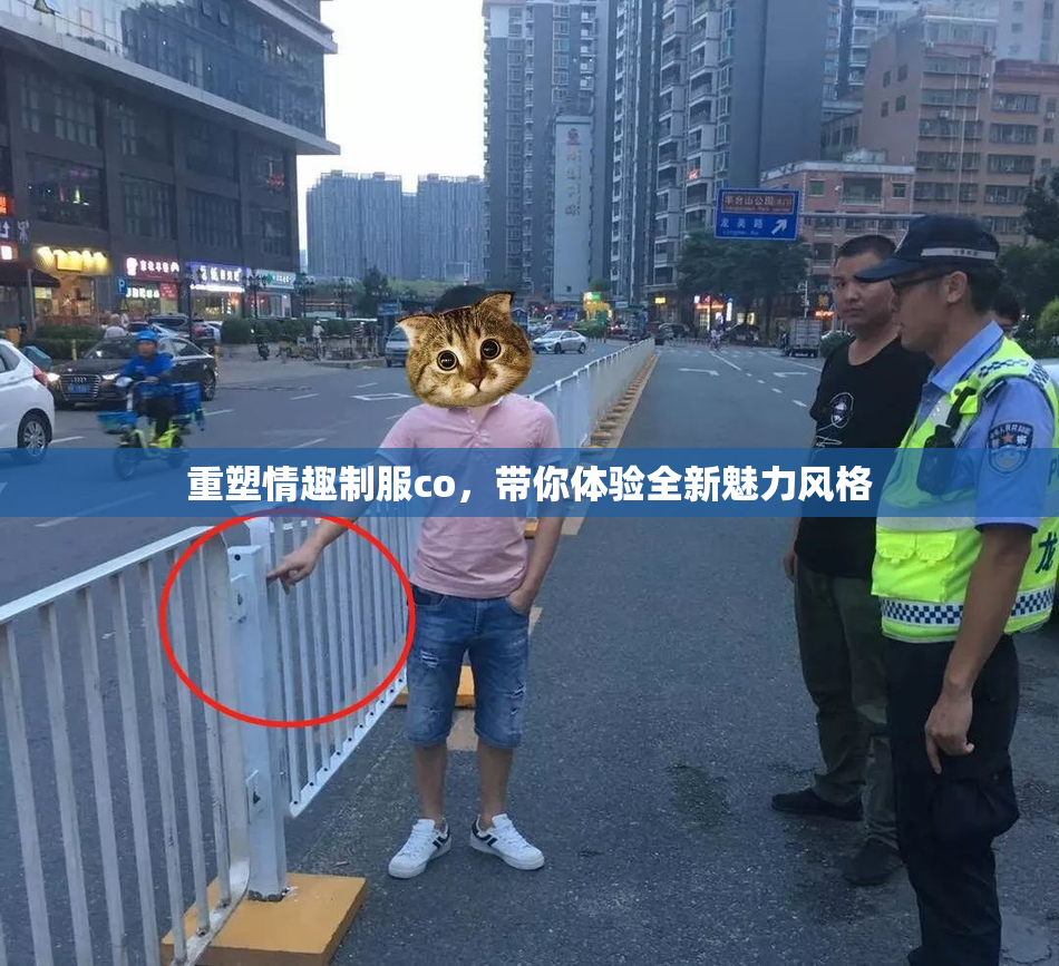 重塑情趣制服co，带你体验全新魅力风格