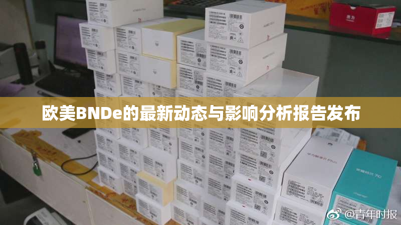 欧美BNDe的最新动态与影响分析报告发布