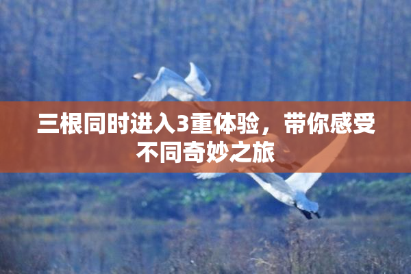 三根同时进入3重体验，带你感受不同奇妙之旅