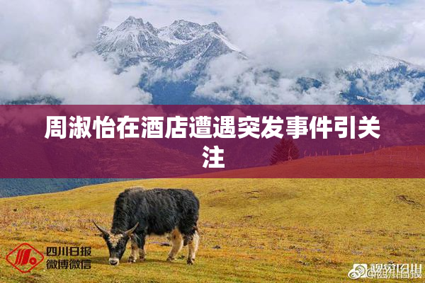 周淑怡在酒店遭遇突发事件引关注