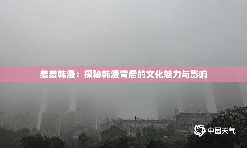 羞羞韩漫：探秘韩漫背后的文化魅力与影响