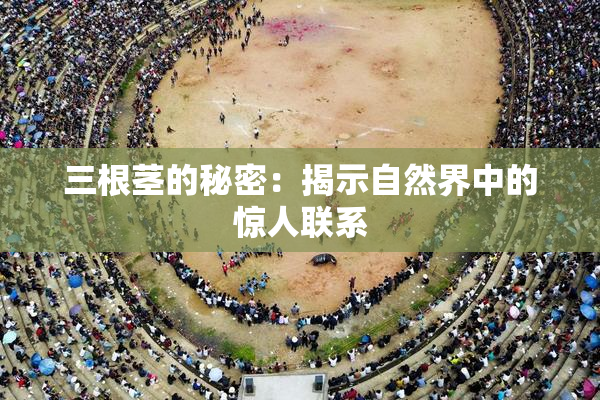 三根茎的秘密：揭示自然界中的惊人联系