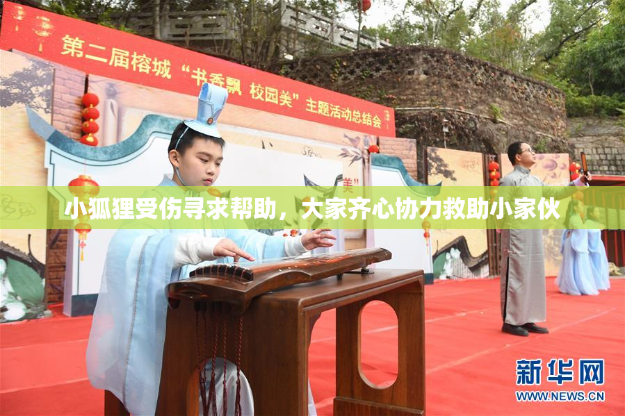 小狐狸受伤寻求帮助，大家齐心协力救助小家伙