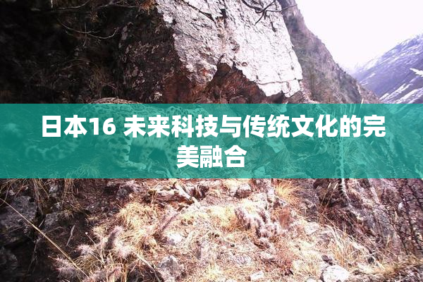日本16 未来科技与传统文化的完美融合