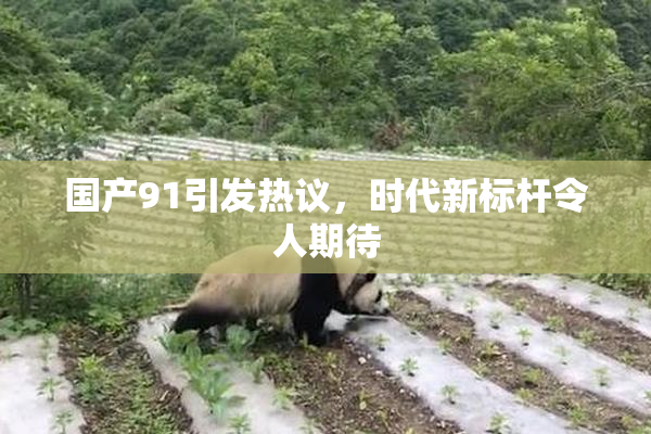 国产91引发热议，时代新标杆令人期待