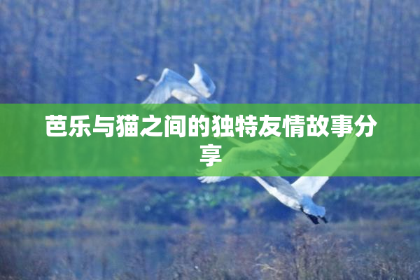 芭乐与猫之间的独特友情故事分享