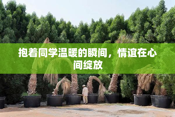 抱着同学温暖的瞬间，情谊在心间绽放