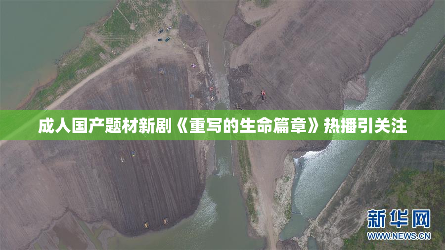 成人国产题材新剧《重写的生命篇章》热播引关注