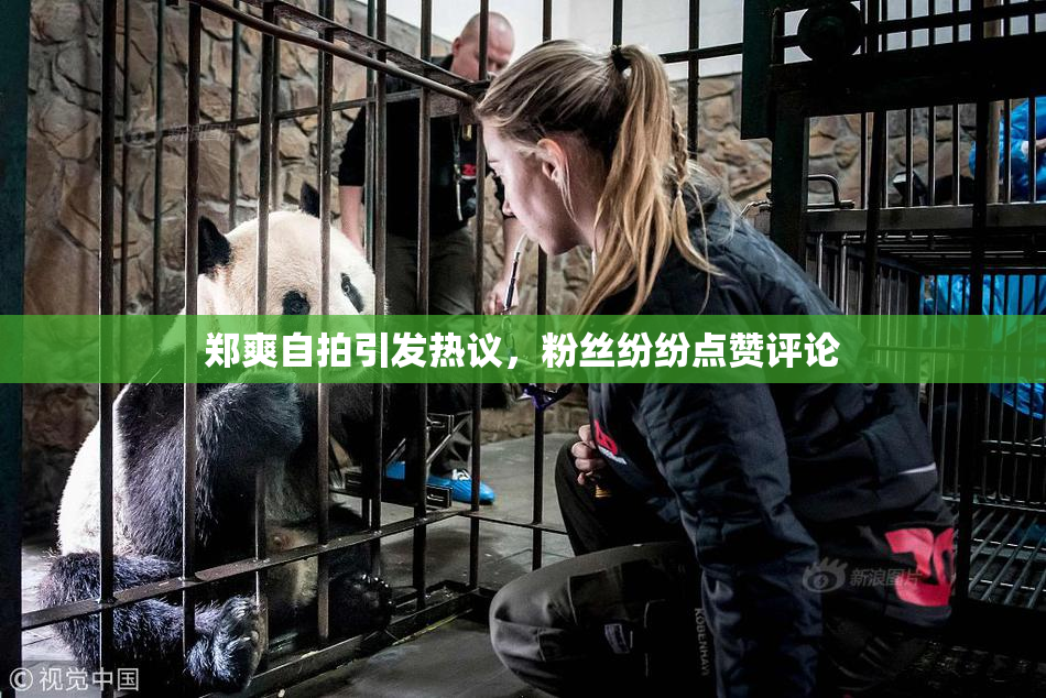 郑爽自拍引发热议，粉丝纷纷点赞评论