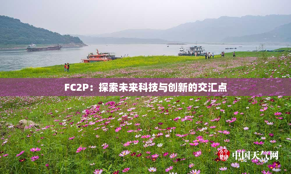 FC2P：探索未来科技与创新的交汇点