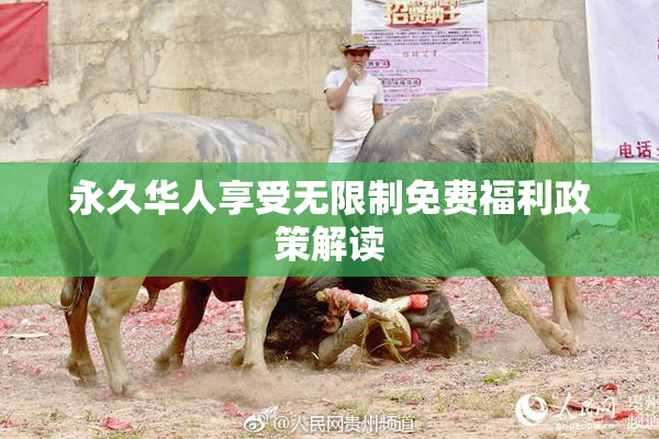 永久华人享受无限制免费福利政策解读