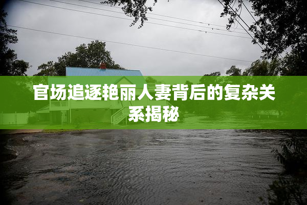 官场追逐艳丽人妻背后的复杂关系揭秘