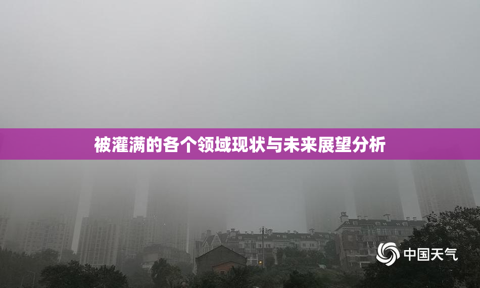 被灌满的各个领域现状与未来展望分析