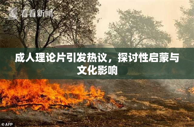 成人理论片引发热议，探讨性启蒙与文化影响