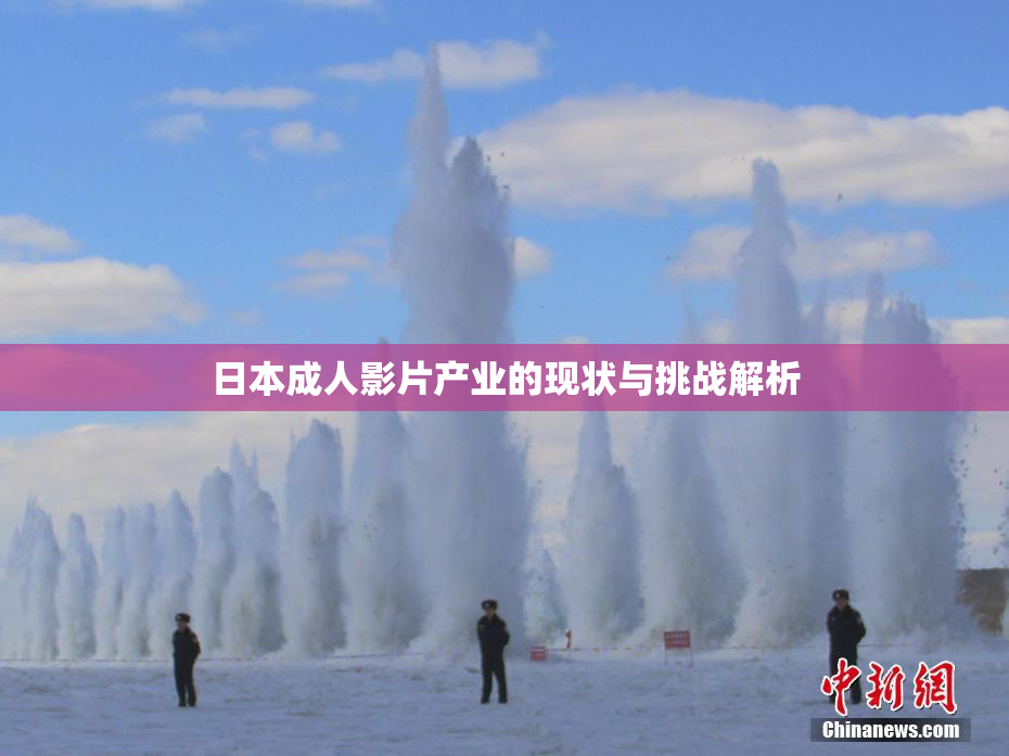 日本成人影片产业的现状与挑战解析