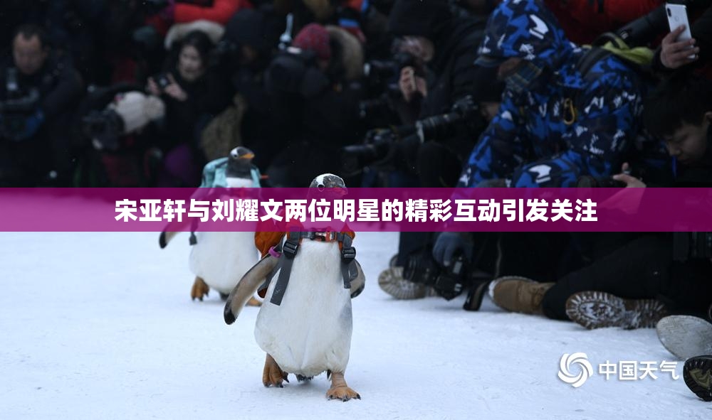 宋亚轩与刘耀文两位明星的精彩互动引发关注