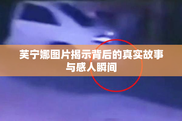 芙宁娜图片揭示背后的真实故事与感人瞬间