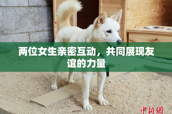 两位女生亲密互动，共同展现友谊的力量