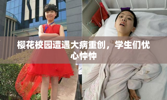 樱花校园遭遇大病重创，学生们忧心忡忡