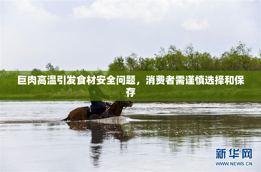 巨肉高温引发食材安全问题，消费者需谨慎选择和保存