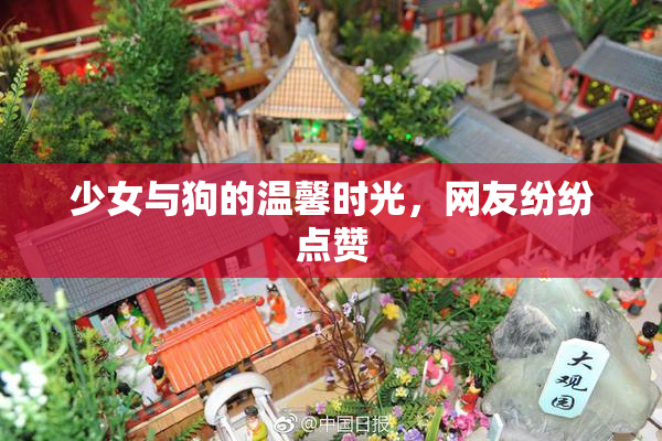 少女与狗的温馨时光，网友纷纷点赞