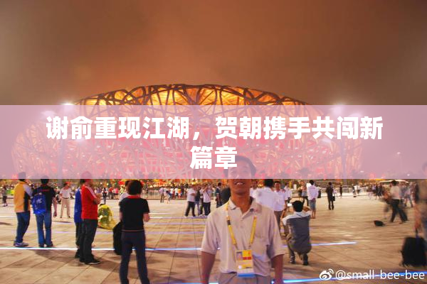 谢俞重现江湖，贺朝携手共闯新篇章