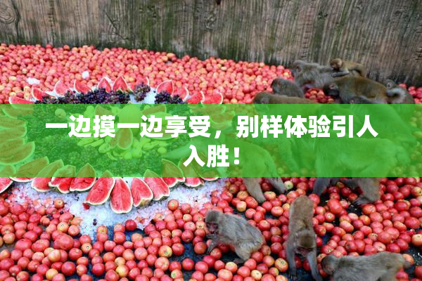 一边摸一边享受，别样体验引人入胜！