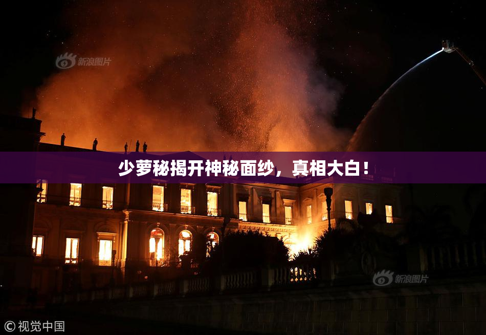 少萝秘揭开神秘面纱，真相大白！