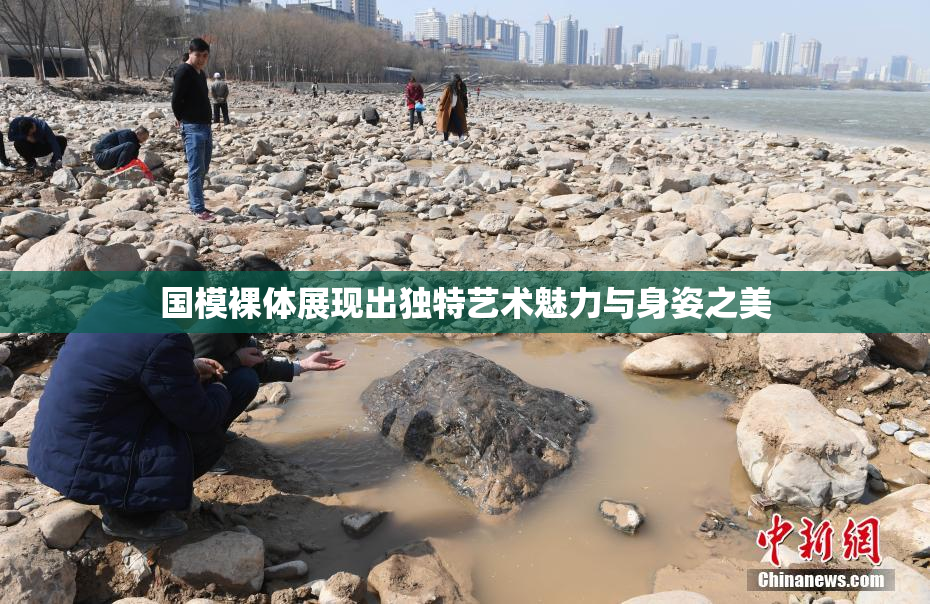 国模裸体展现出独特艺术魅力与身姿之美