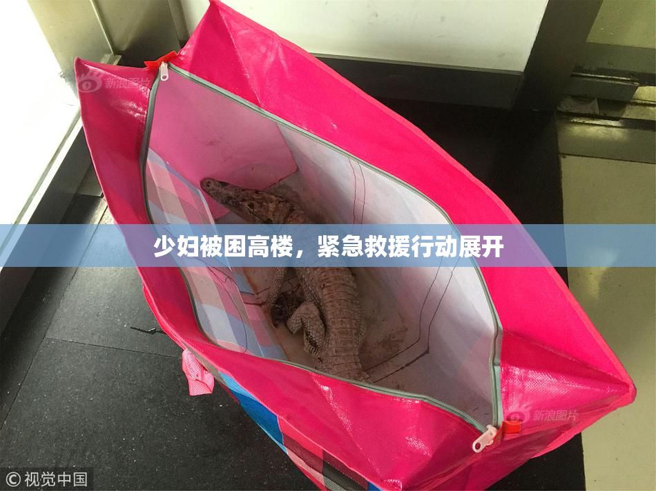 少妇被困高楼，紧急救援行动展开