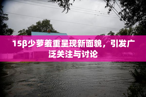 15β少萝羞重呈现新面貌，引发广泛关注与讨论