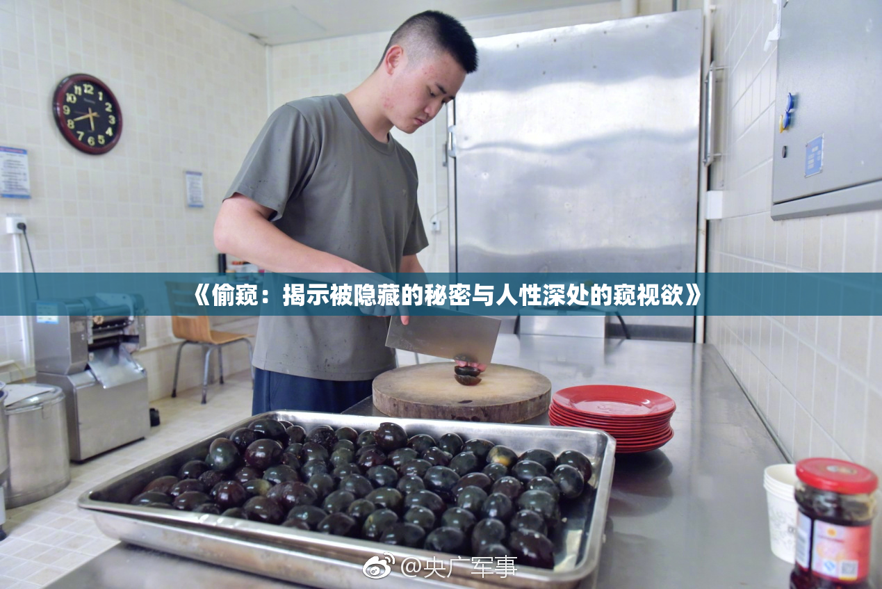 《偷窥：揭示被隐藏的秘密与人性深处的窥视欲》