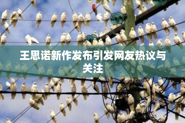 王思诺新作发布引发网友热议与关注