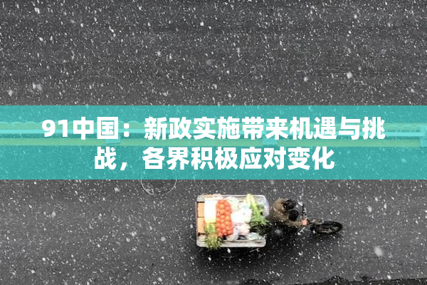 91中国：新政实施带来机遇与挑战，各界积极应对变化