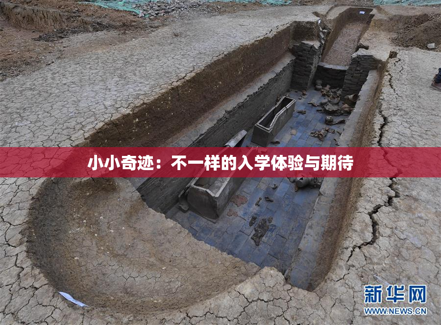 小小奇迹：不一样的入学体验与期待