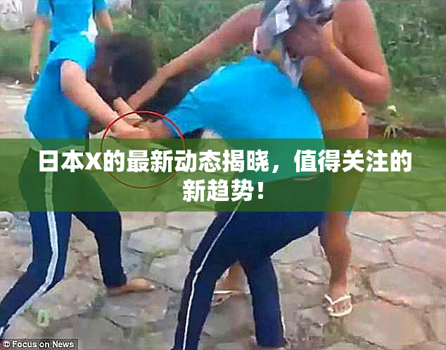 日本X的最新动态揭晓，值得关注的新趋势！