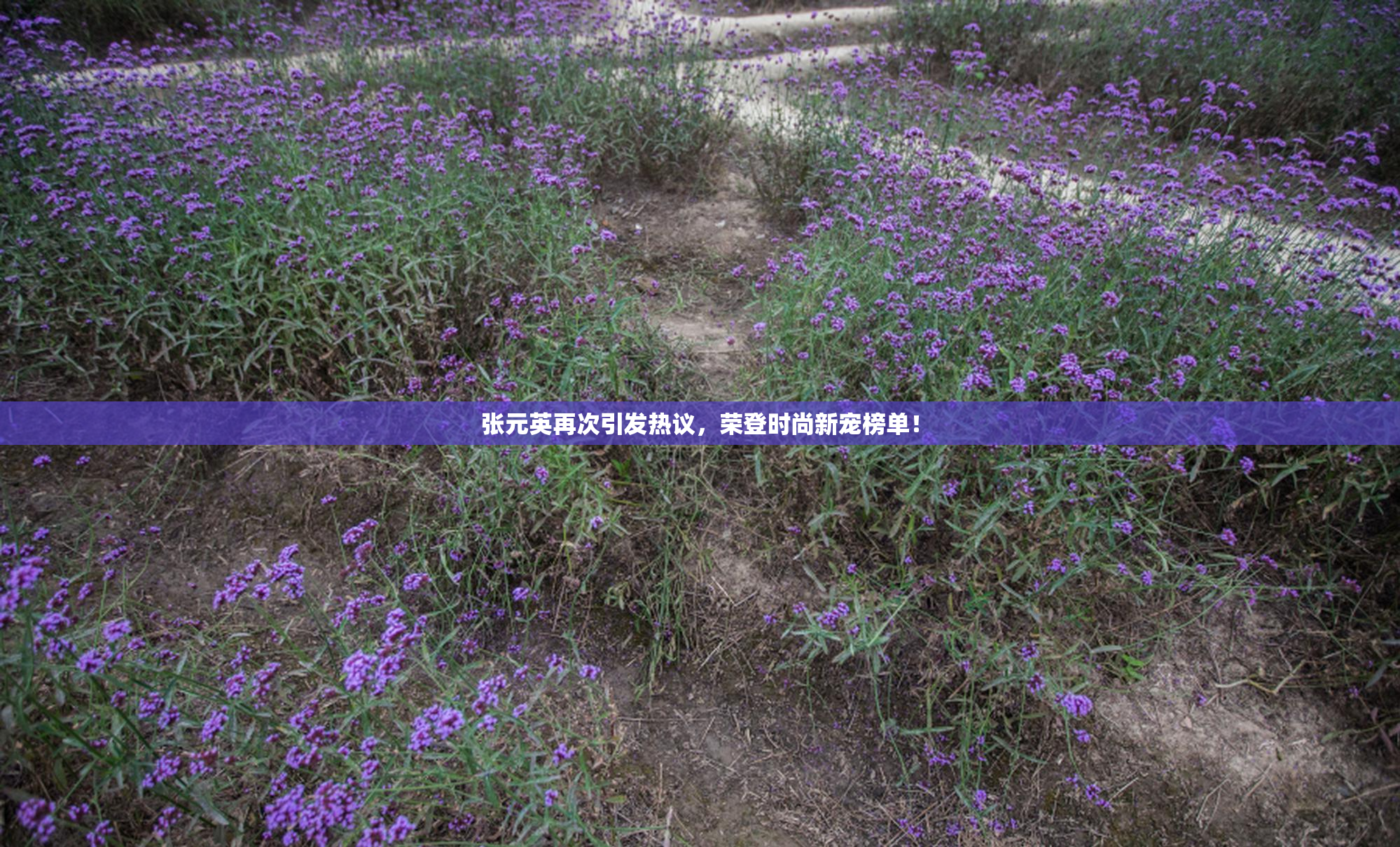 张元英再次引发热议，荣登时尚新宠榜单！