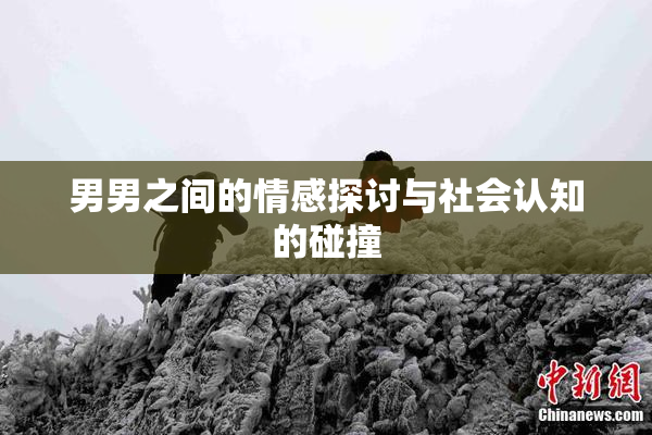 男男之间的情感探讨与社会认知的碰撞