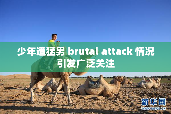 少年遭猛男 brutal attack 情况引发广泛关注