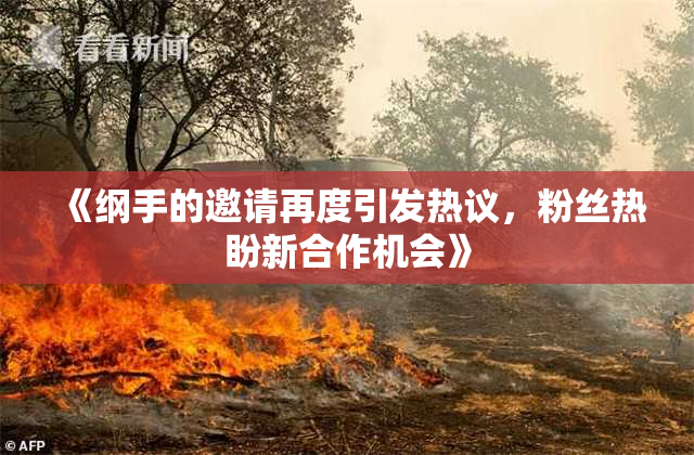 《纲手的邀请再度引发热议，粉丝热盼新合作机会》