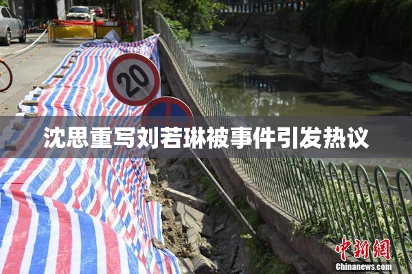 沈思重写刘若琳被事件引发热议