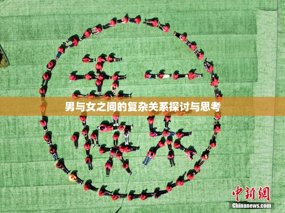 男与女之间的复杂关系探讨与思考